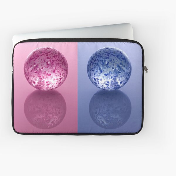 two Laptop Sleeve