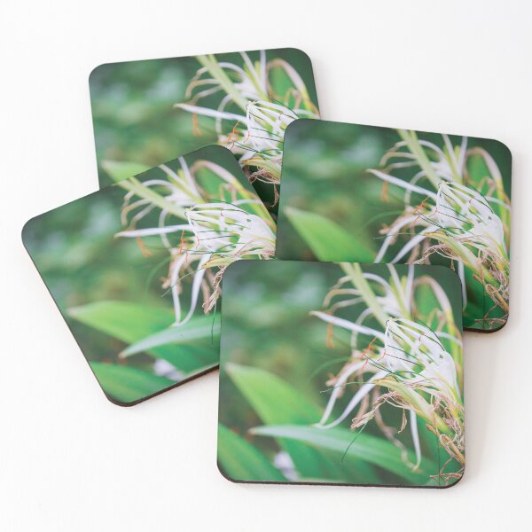 Item preview, Spider Lilies designed and sold by Vansh Arora.