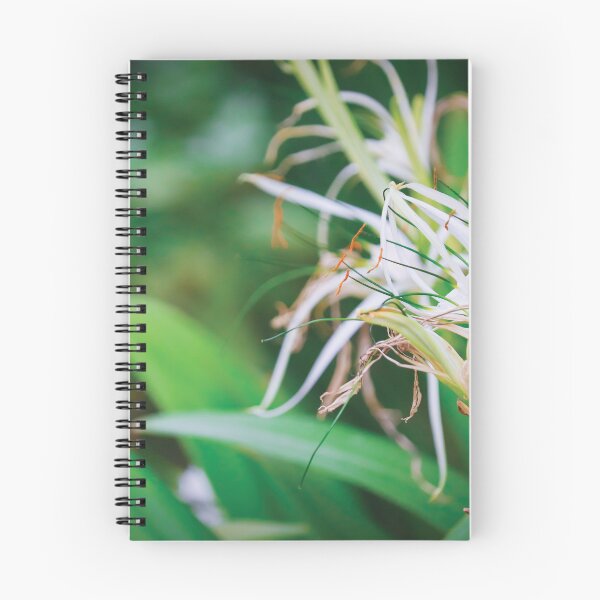 Item preview, Spider Lilies designed and sold by Vansh Arora.