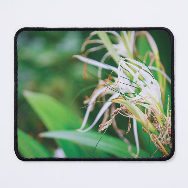 Item preview, Spider Lilies designed and sold by Vansh Arora.