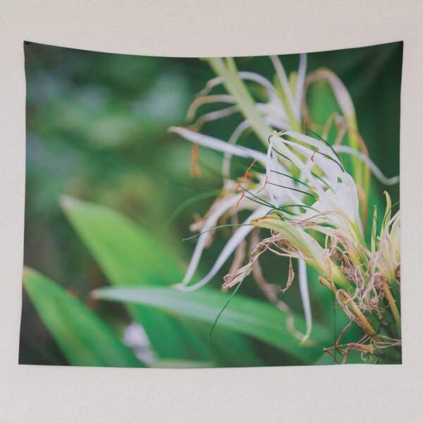 Item preview, Spider Lilies designed and sold by Vansh Arora.