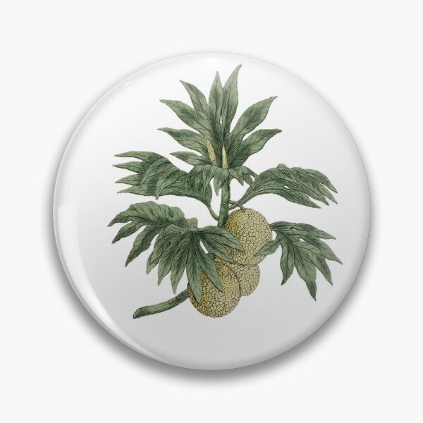 Item preview, Artocarpis communis, bread-fruit tree designed and sold by BelleZeare.