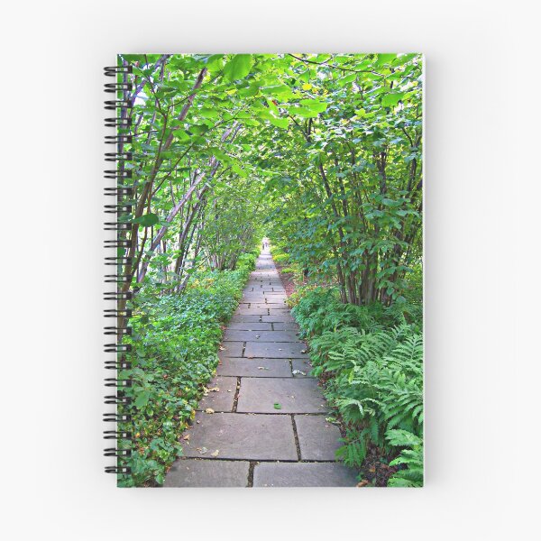 Item preview, The Path designed and sold by ColinBoylett.