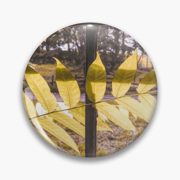 Item preview, Feeling No Pane designed and sold by Jim Love.