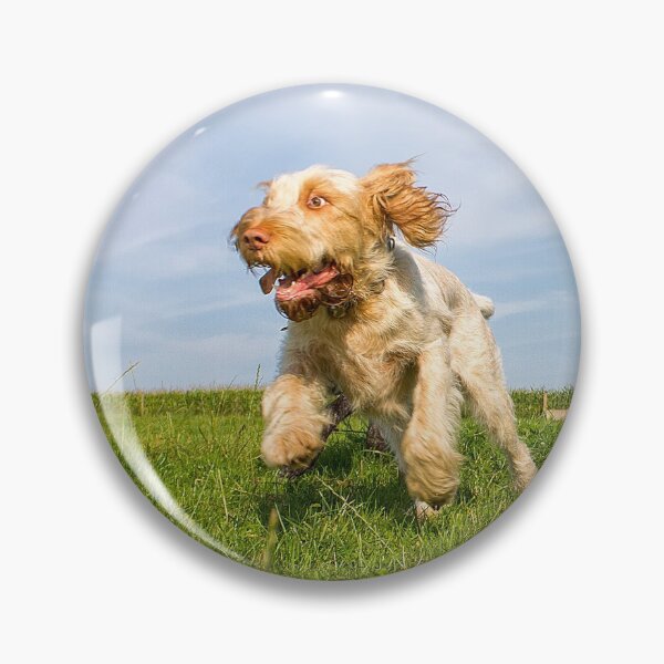 Artikelvorschau, Einen Hasen jagen Spinone entworfen und verkauft von FOLK ART FUSION.