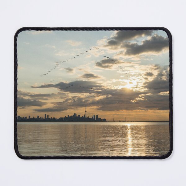 Item preview, Brilliant Bird Ribbons - Toronto Skyline with Streaming Bands of Cormorants designed and sold by Georgia Mizuleva.
