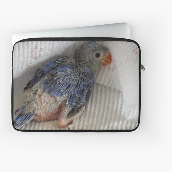 Violet Indian Ringneck Laptop Sleeve