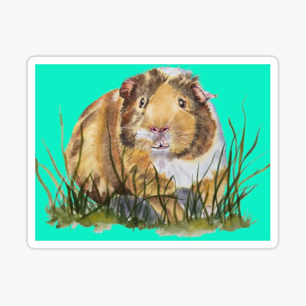 Gino The Guinea Pig Sticker