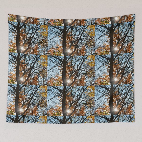 Item preview, sunburst and autumn leaves designed and sold by SRosuphotos.