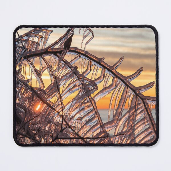 Item preview, The Most Fantabulous Sun Shutters designed and sold by Georgia Mizuleva.