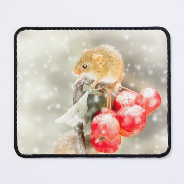 Item preview, Mouse and Mini Apples designed and sold by Jane Stanley Photography.