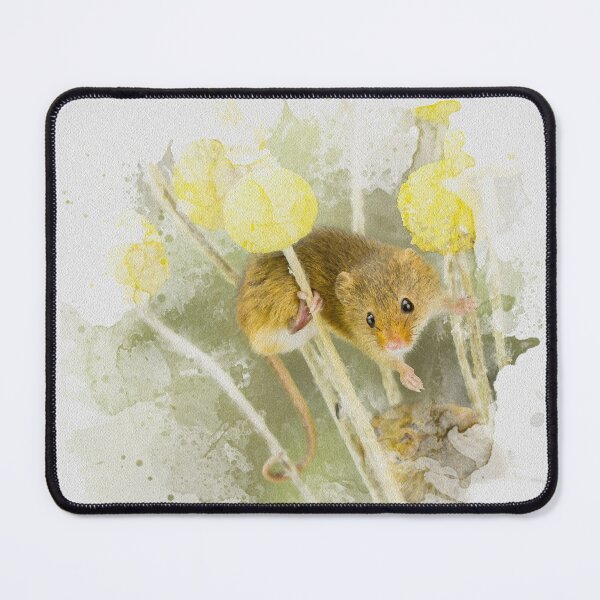 Item preview, Harvest Mouse Watercolour Photograph. designed and sold by Jane Stanley Photography.