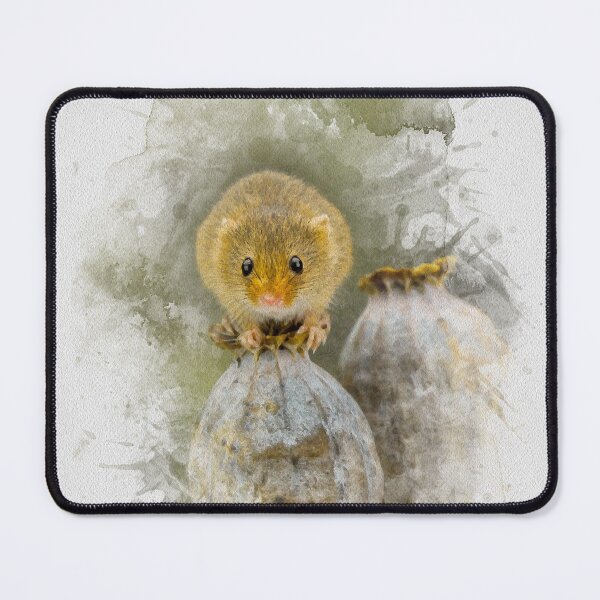 Item preview, Harvest Mouse Watercolour Photograph. designed and sold by Jane Stanley Photography.
