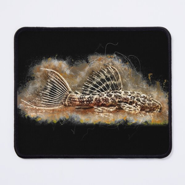 Item preview, L 114 Demini Leopard Cactus Catfish - Pseudacanthicus sp designed and sold by AquariumLutter.