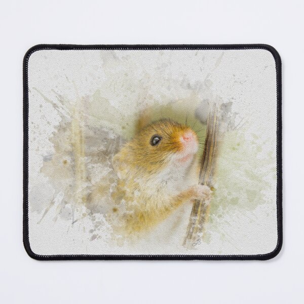 Item preview, Harvest Mouse Watercolour Photograph. designed and sold by Jane Stanley Photography.