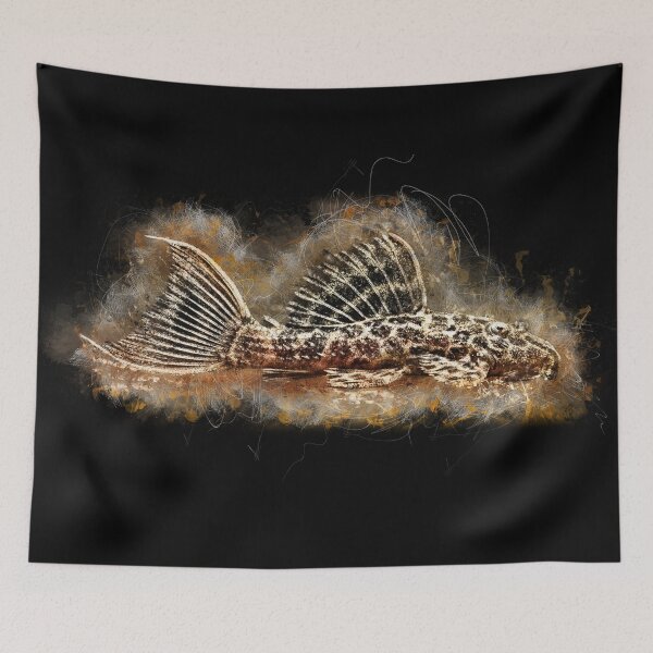 Item preview, L 114 Demini Leopard Cactus Catfish - Pseudacanthicus sp designed and sold by AquariumLutter.