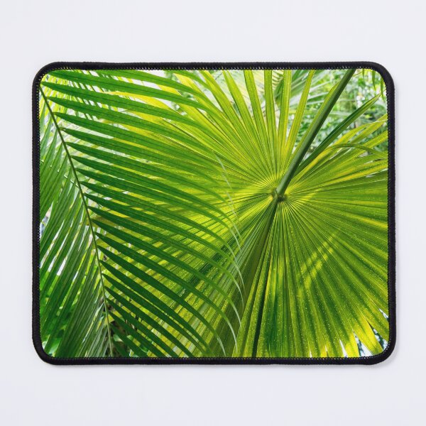 Item preview, Palmy Filigree - Biophilic Layers and Patterns of Gloriously Green Palm Leaves - Right designed and sold by Georgia Mizuleva.