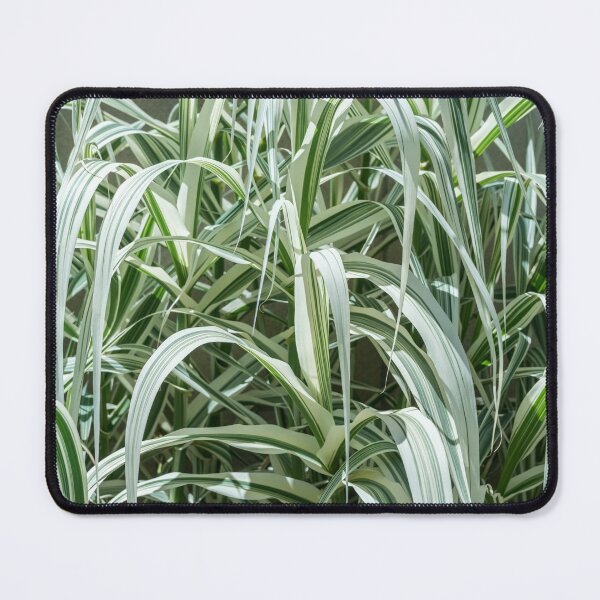 Item preview, Stripy Biophilic Elegance - Sophisticated Grass Ribbons in Mint Greens and Ivory Whites designed and sold by Georgia Mizuleva.