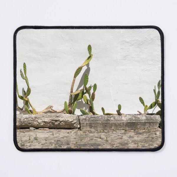 Item preview, Xerophytic Landscaping - Old Cactus Garden designed and sold by Georgia Mizuleva.