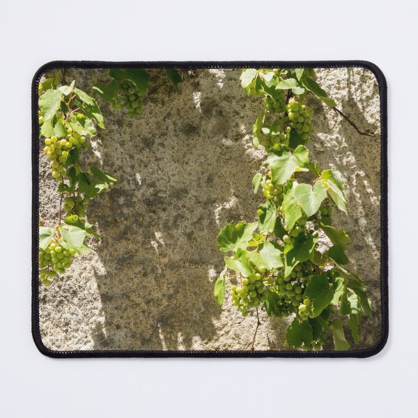 Item preview, Unusual Grape Harvest - Grapevines Trailing Down a Rough Wall designed and sold by Georgia Mizuleva.