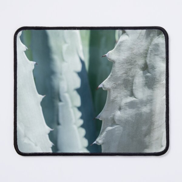 Item preview, Thorny Patterns and Textures - Agave Americana Succulent Leafs designed and sold by Georgia Mizuleva.