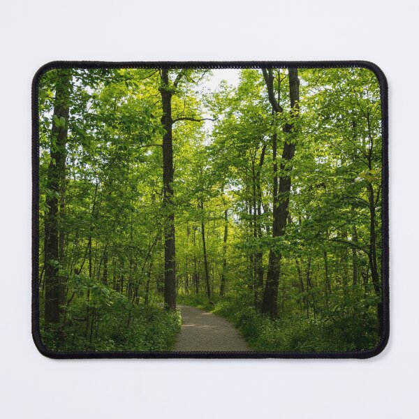 Item preview, Forest Path designed and sold by Georgia Mizuleva.