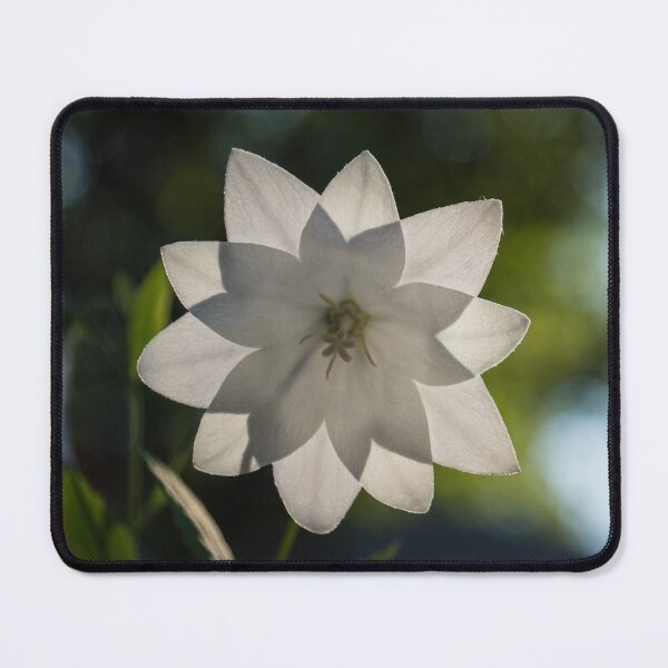 Item preview, A Star in My Garden designed and sold by Georgia Mizuleva.