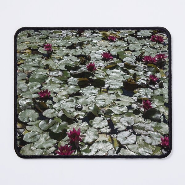 Item preview, Glossy - Fantabulous Sunlit Waterlily Pad designed and sold by Georgia Mizuleva.