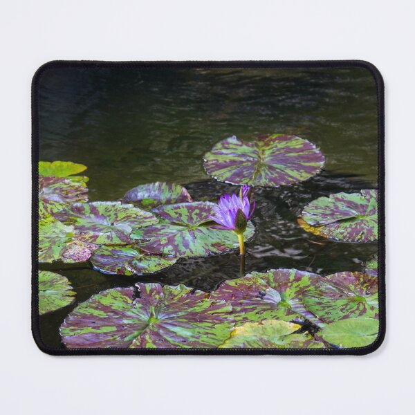 Item preview, Fantabulously Purple - a Splendid Waterlily with Varicoloured Leaves designed and sold by Georgia Mizuleva.