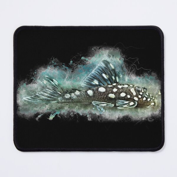 Item preview, L128 Blue Phantom Catfish Big Spot - Hemiancistrus sp. designed and sold by AquariumLutter.