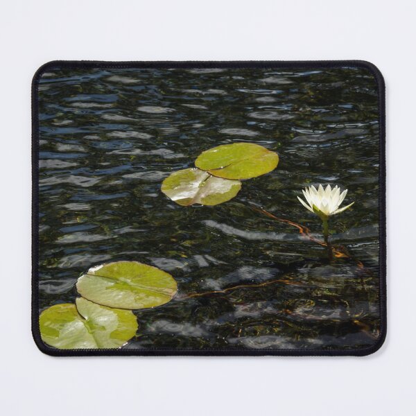 Item preview, Low Key Enigma - White Water Lily Emerging from Silky Depths designed and sold by Georgia Mizuleva.