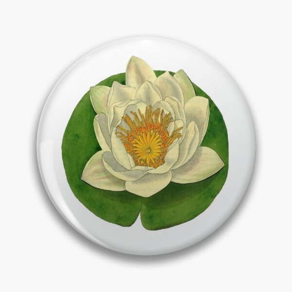 Item preview, Water lily, species unknown. 1840 designed and sold by BelleZeare.