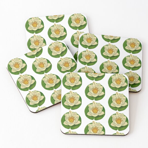 Item preview, Water lily, species unknown. 1840 designed and sold by BelleZeare.