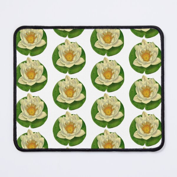 Item preview, Water lily, species unknown. 1840 designed and sold by BelleZeare.