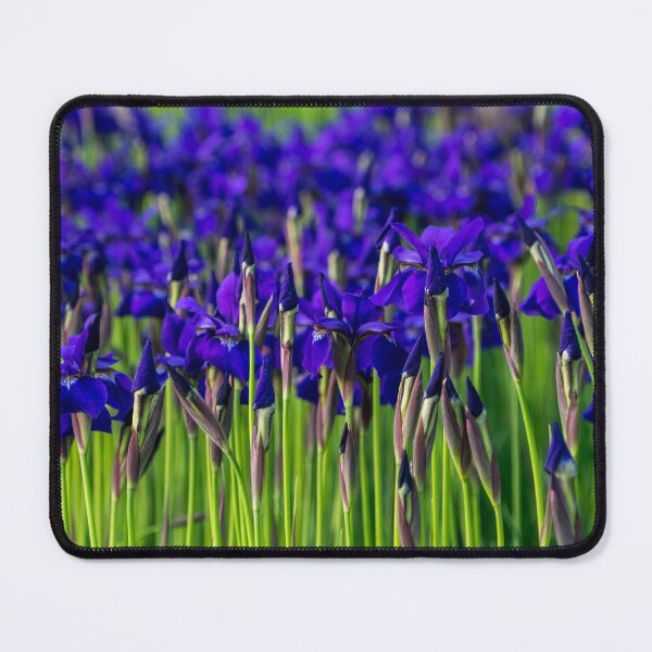 Item preview, A Garden for Vincent Van Gogh - Indigo Purple Irises Springtime Abundance - Take One designed and sold by Georgia Mizuleva.