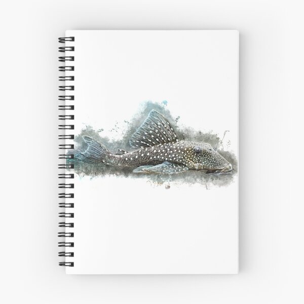 Item preview, L 128 Blue Phantom Catfish - Hemiancistrus sp designed and sold by AquariumLutter.