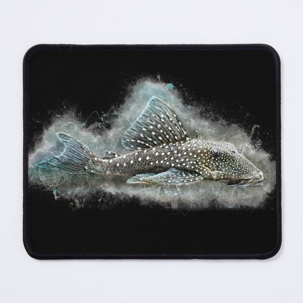 Item preview, L 128 Blue Phantom Catfish - Hemiancistrus sp designed and sold by AquariumLutter.