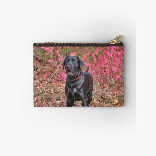 Item preview, Brody  designed and sold by mikepaulhamus.