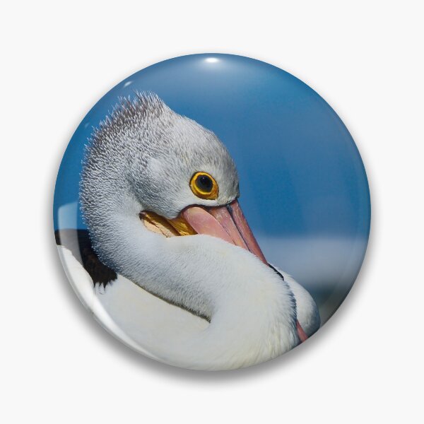 Item preview, Pelicans A pelican sitting - portrait designed and sold by Jason Gilbert.