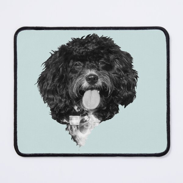 Artikelvorschau, Glücklicher Cavapoo-Welpe in Schwarz und Weiß entworfen und verkauft von Jane Stanley Photography.