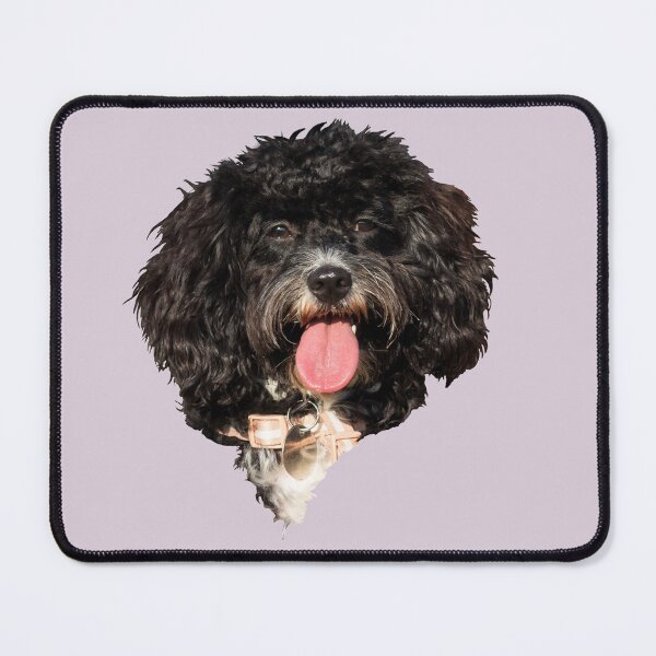 Item preview, Happy Cavapoo Puppy designed and sold by Jane Stanley Photography.