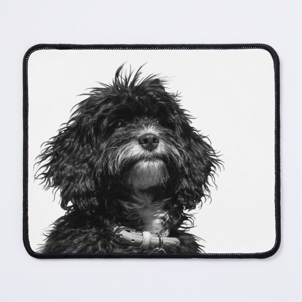 Item preview, Puppy Dog designed and sold by Jane Stanley Photography.