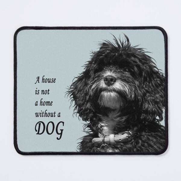 Item preview, A house is not a home without a dog, black text designed and sold by Jane Stanley Photography.