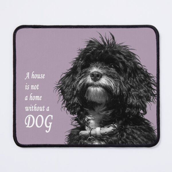 Item preview, A house is not a home without a dog, white text designed and sold by Jane Stanley Photography.