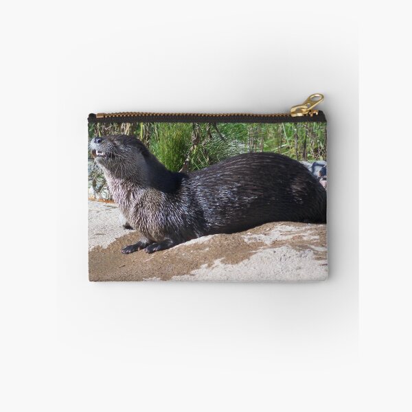 Artikelvorschau, You Otter See This! entworfen und verkauft von nikspix.