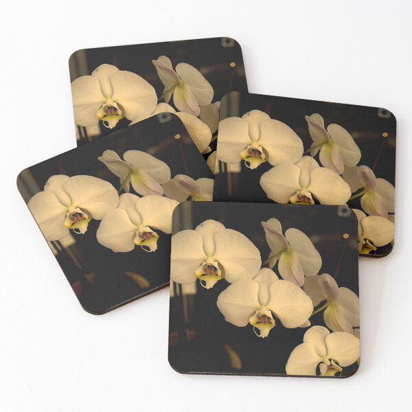 Item preview, Orchid designed and sold by MarkFoleyPhoto.