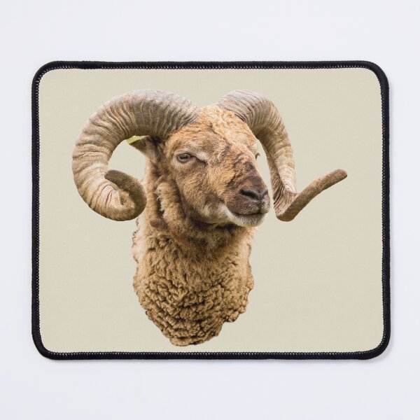 Item preview, Sheep with Horns Head Shot designed and sold by Jane Stanley Photography.