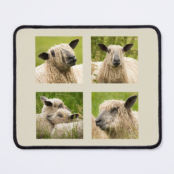 Item preview, Wensleydale Sheep Collection designed and sold by Jane Stanley Photography.