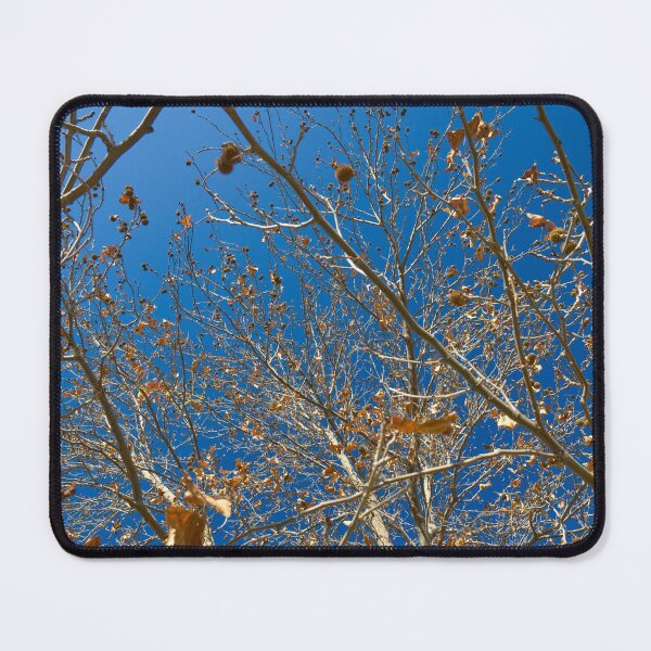 Item preview, Blue through the branch designed and sold by Kiran-Fine-Art.
