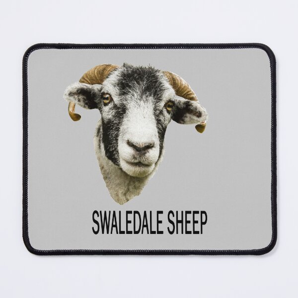 Item preview, Swaledale Sheep with text designed and sold by Jane Stanley Photography.
